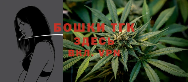 шишки Баксан