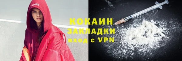 прущие грибы Беломорск
