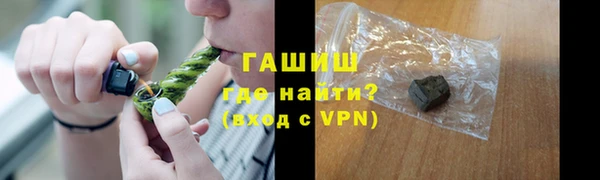 индика Осташков