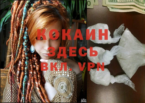 шишки Баксан