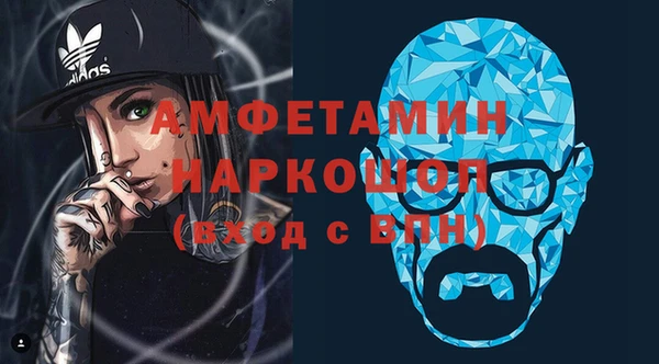 прущие грибы Беломорск