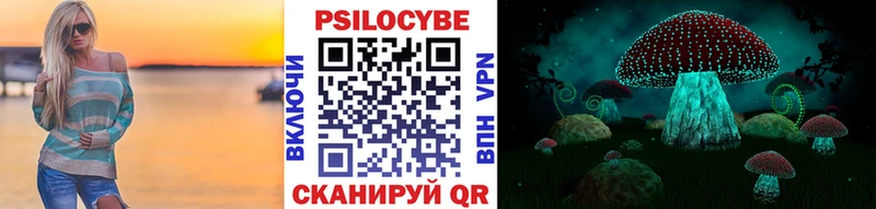 Псилоцибиновые грибы Cubensis  Чистополь 